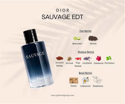 what season is dior sauvage|dior sauvage cologne top notes.